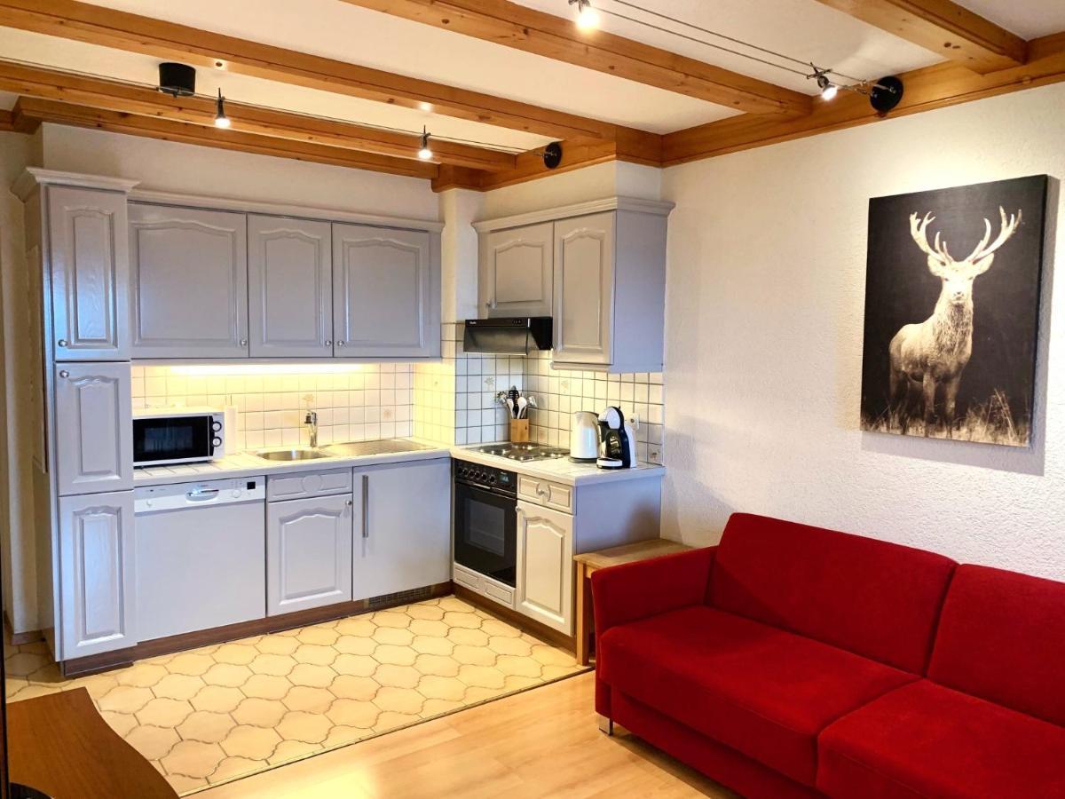 Apartmán Les Frenes Leysin Exteriér fotografie