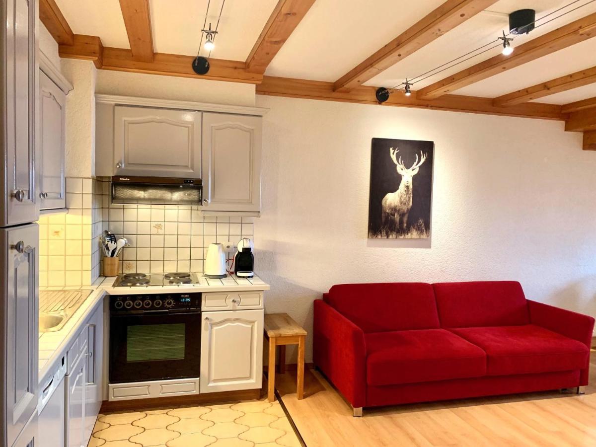 Apartmán Les Frenes Leysin Exteriér fotografie