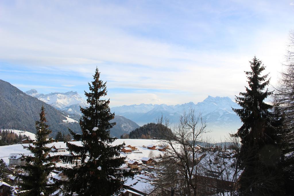 Apartmán Les Frenes Leysin Exteriér fotografie