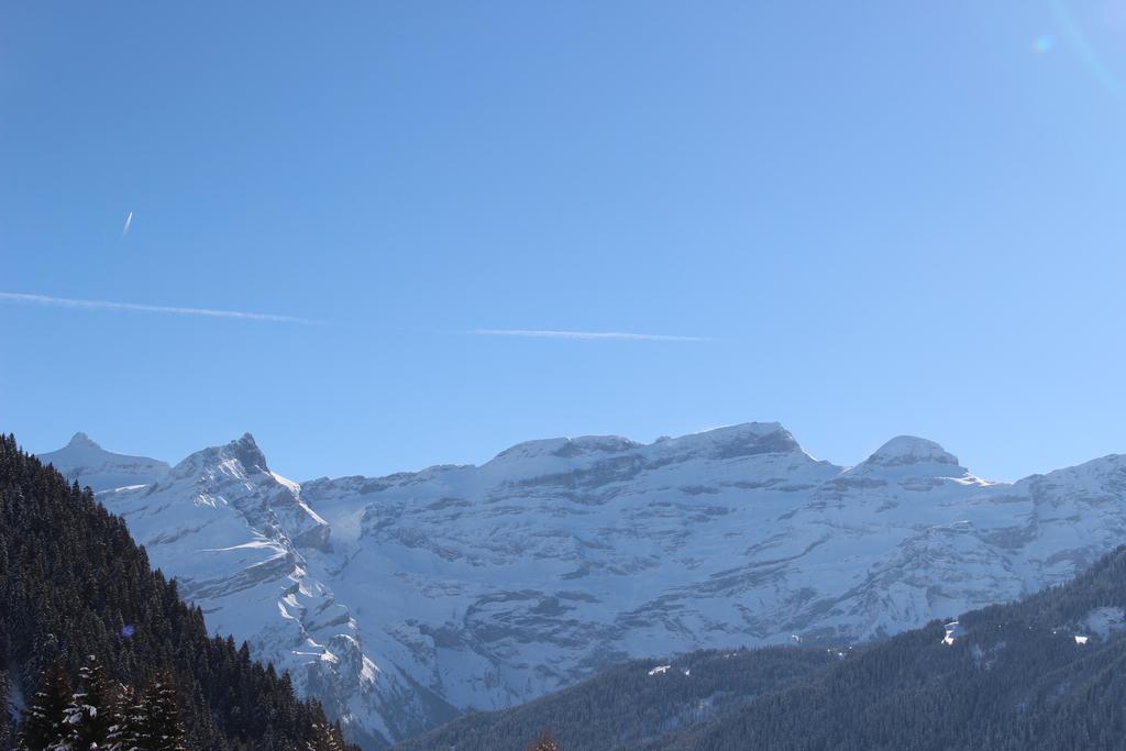Apartmán Les Frenes Leysin Exteriér fotografie
