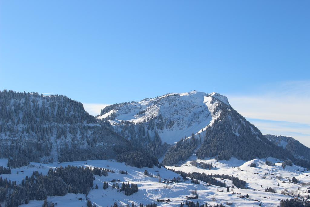 Apartmán Les Frenes Leysin Exteriér fotografie